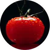 Lycopene